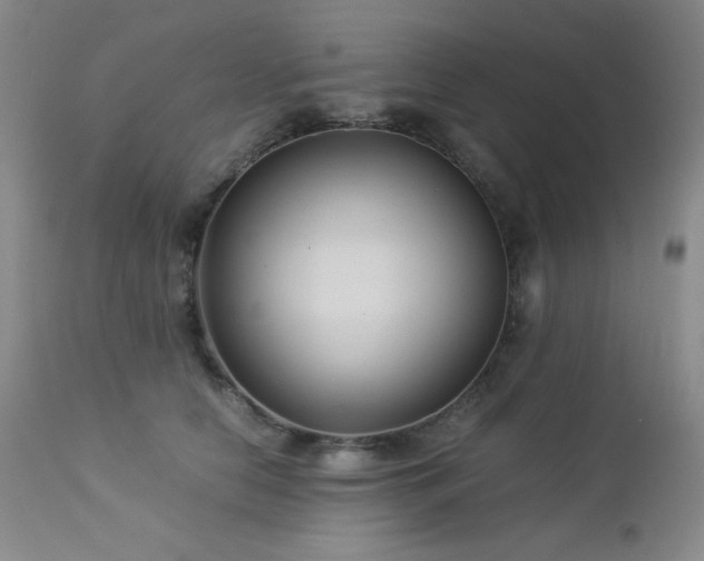 X0000113040658200908271507