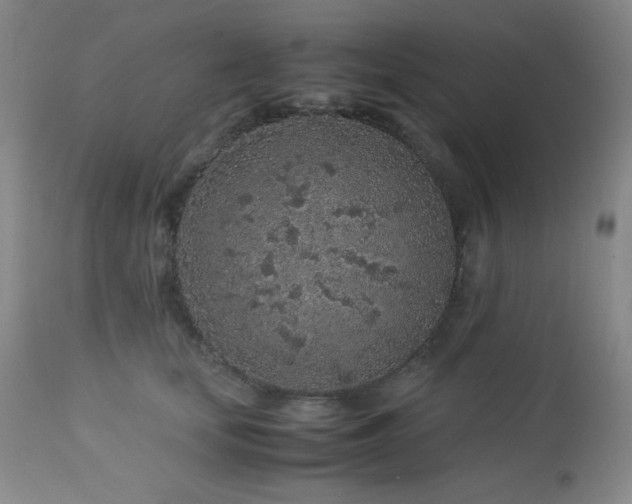 X0000113040659200908271507