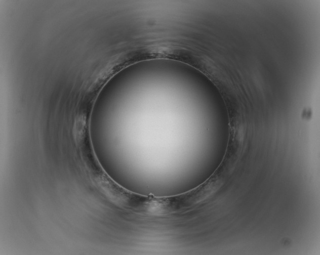X0000113040660200908271507