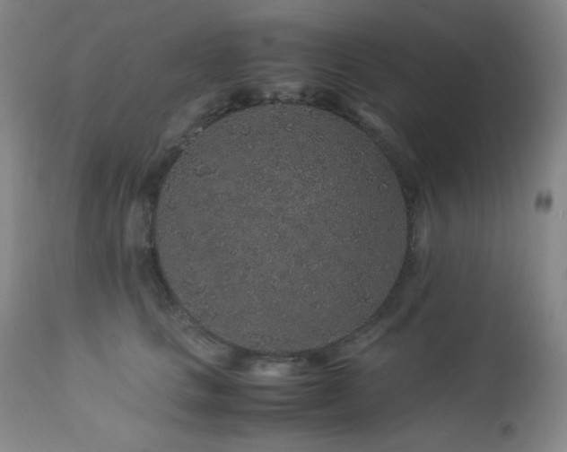 X0000113040661200908271507