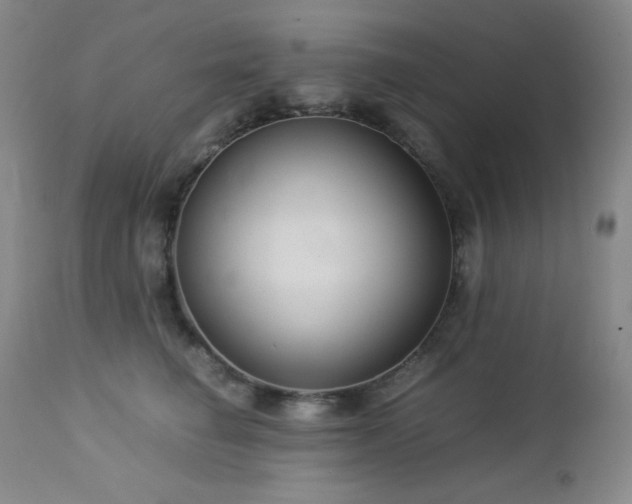 X0000113040662200908271507