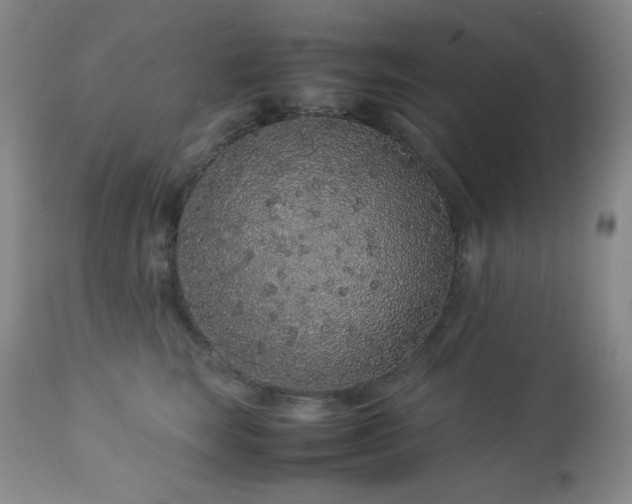 X0000113040663200908271507