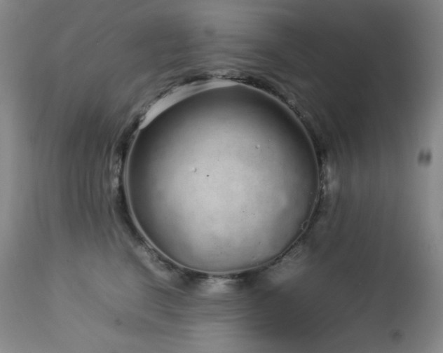 X0000113040664200908271507