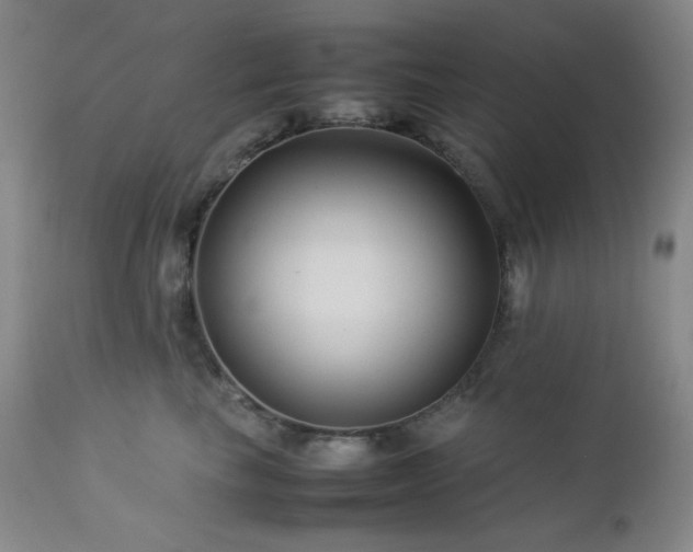X0000113040665200908271507