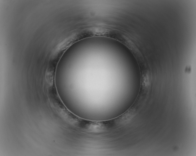 X0000113040666200908271507