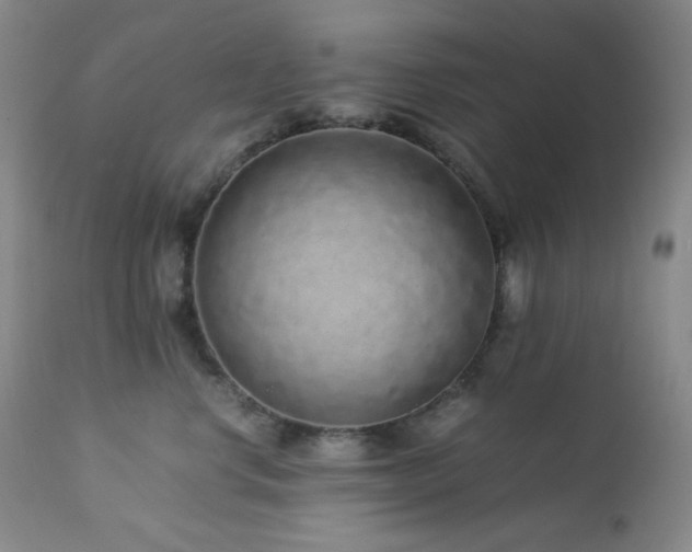 X0000113040668200908271507