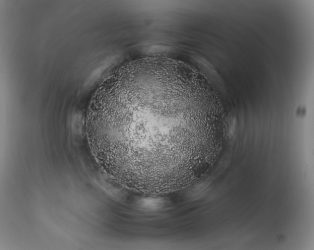 X0000113040669200908271507