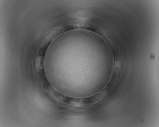 X0000113040671200908271507