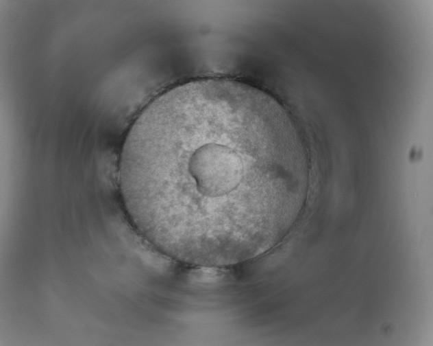 X0000113040672200908271507