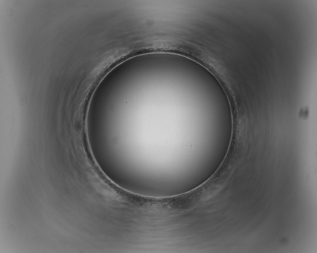 X0000113040673200908271506