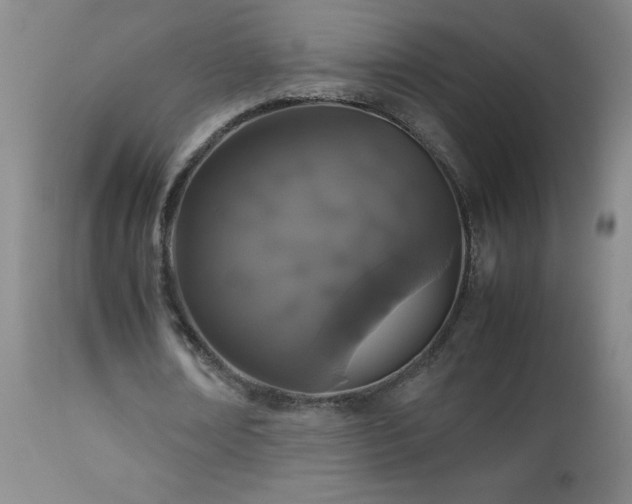 X0000113040674200908271506
