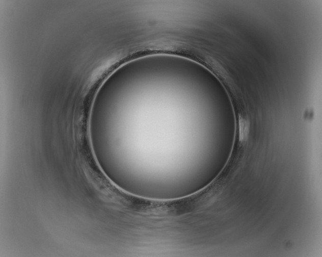 X0000113040675200908271506