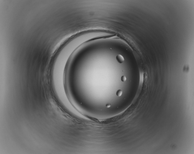 X0000113040676200908271506