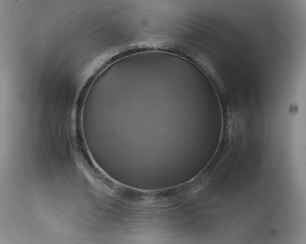 X0000113040678200908271506