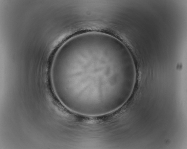 X0000113040679200908271506