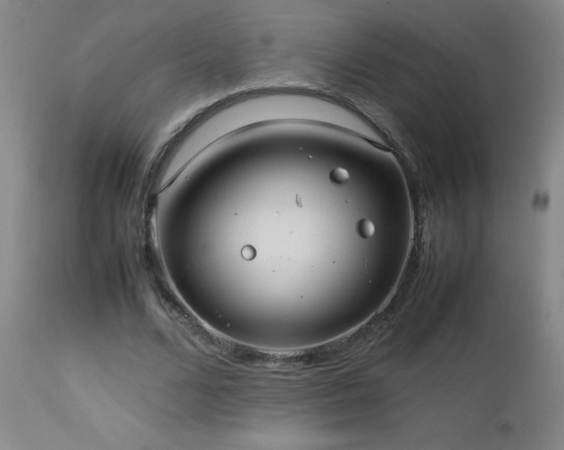 X0000113040680200908271506
