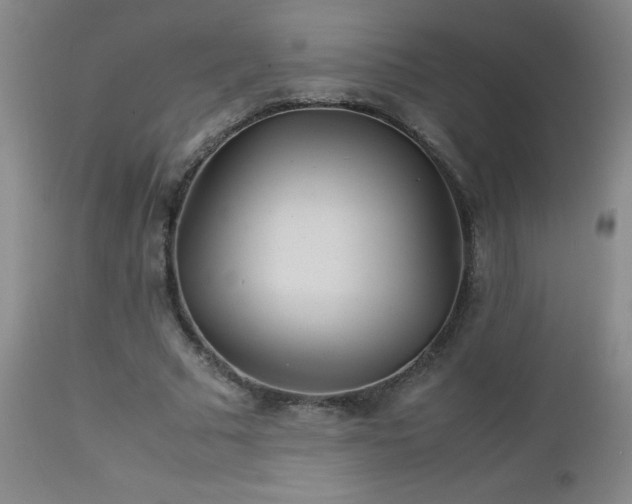 X0000113040681200908271506