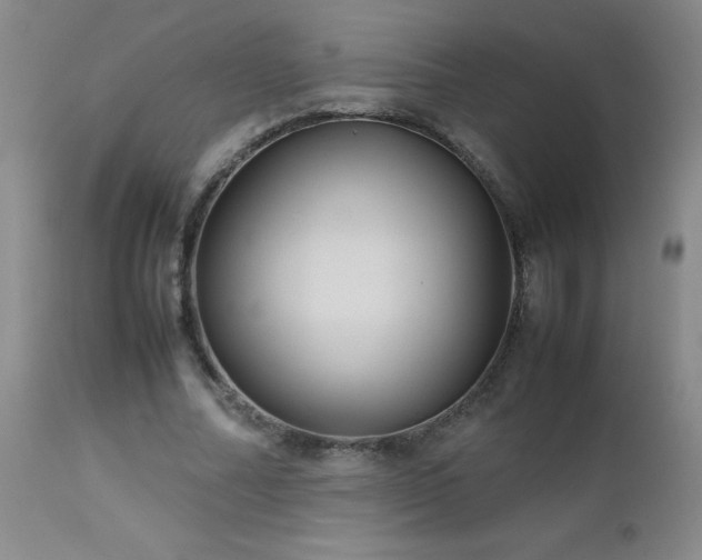X0000113040682200908271506
