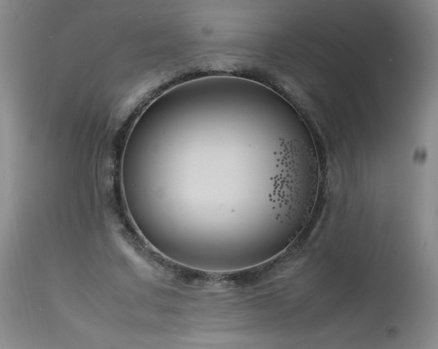 X0000113040683200908271506