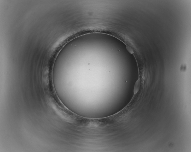 X0000113040684200908271506