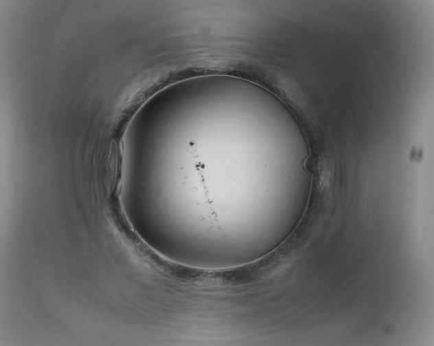X0000113040685200908271506