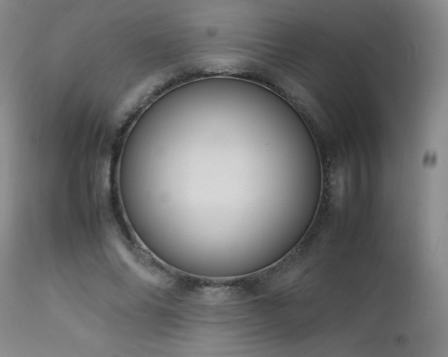 X0000113040686200908271506