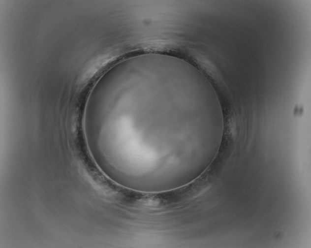 X0000113040687200908271506