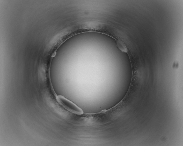 X0000113040688200908271506