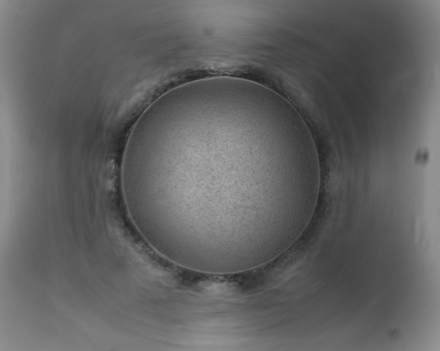 X0000113040689200908271506