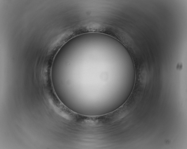 X0000113040690200908271506