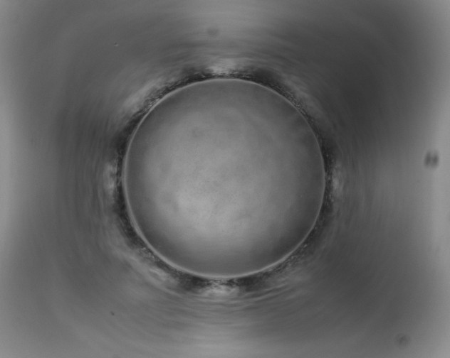 X0000113040691200908271506