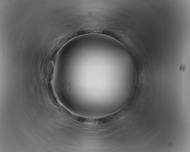 X0000113040693200908271506
