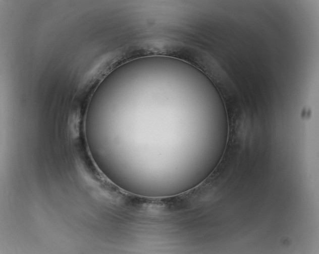X0000113040694200908271506