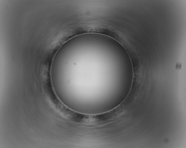 X0000113040695200908271506
