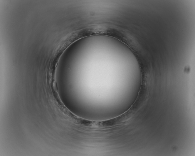 X0000113040697200908271506