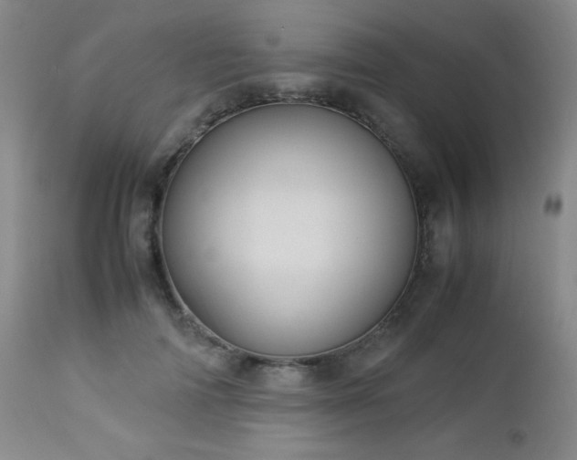 X0000113040698200908271506