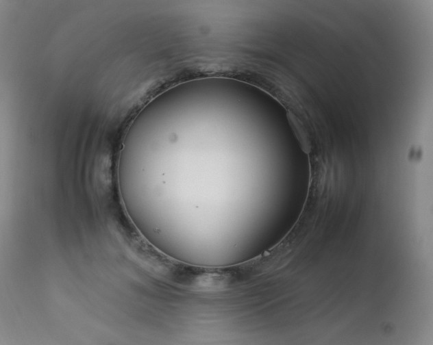 X0000113040700200908271506