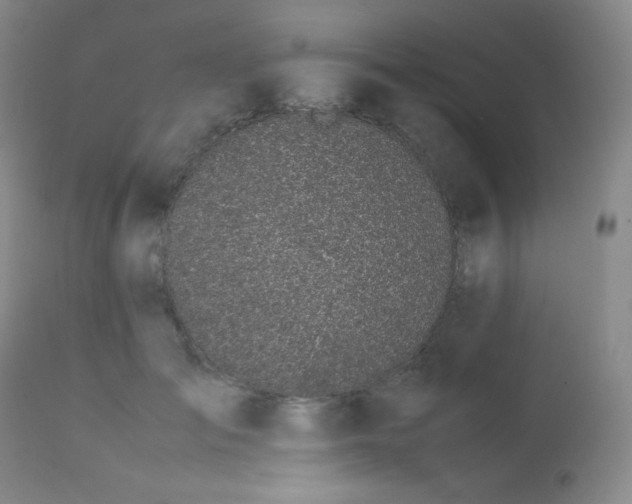 X0000113040701200908271506