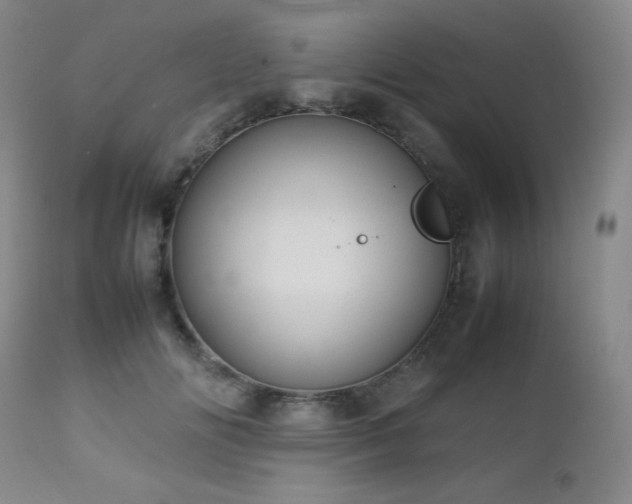 X0000113040702200908271506