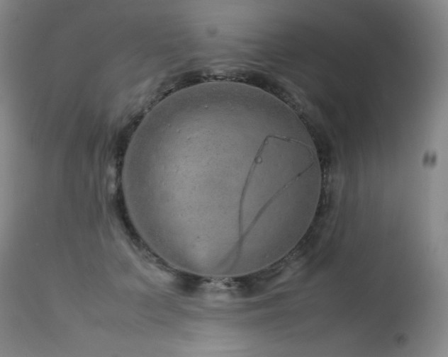 X0000113040703200908271506