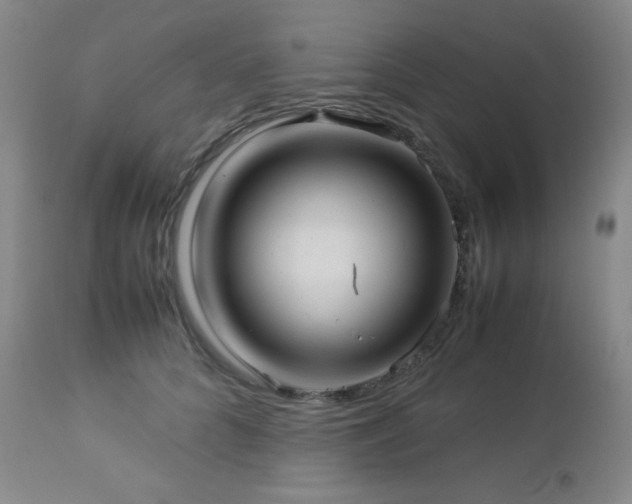 X0000113040704200908271506