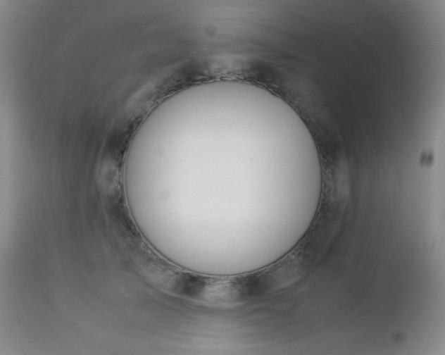 X0000113040705200908271506