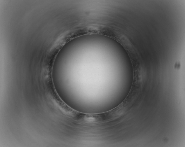 X0000113040706200908271506