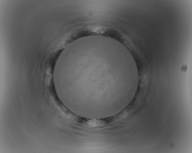 X0000113040707200908271506