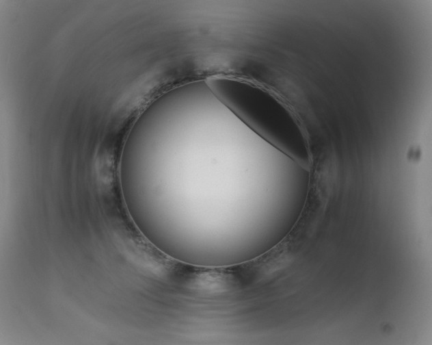 X0000113040708200908271506