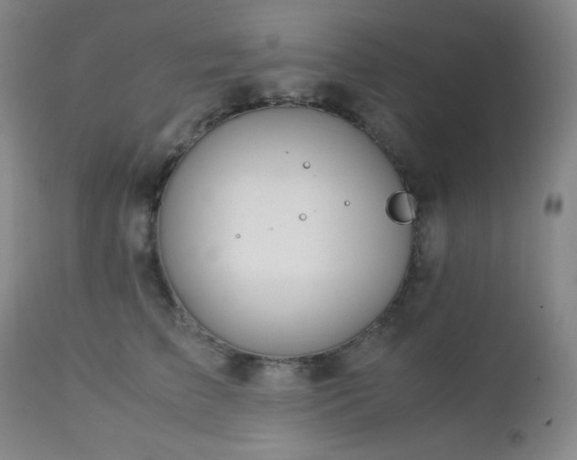 X0000113040709200908271506