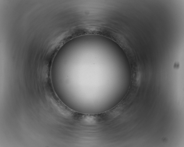 X0000113040710200908271506