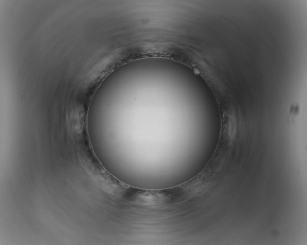 X0000113040712200908271506