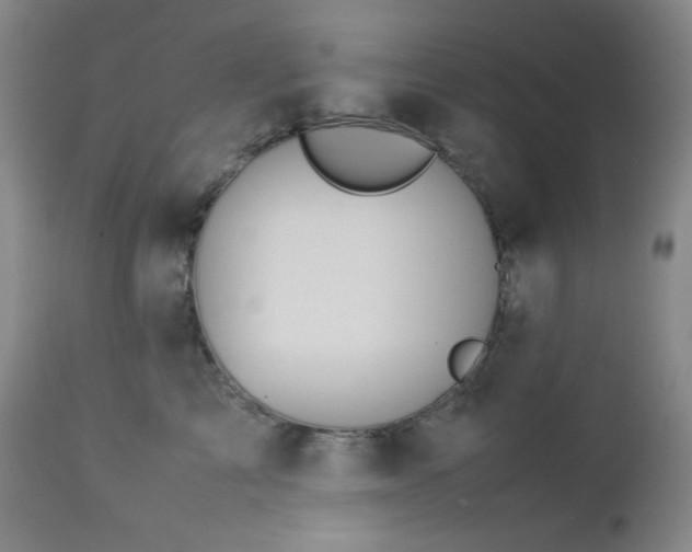 X0000113040713200908271506