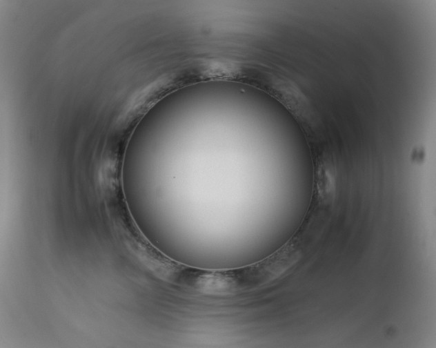 X0000113040714200908271506